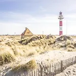 Beachfront Comfort