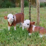 公寓 Beachfront Comfort 尼乌波特