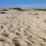 公寓 Beachfront Comfort
