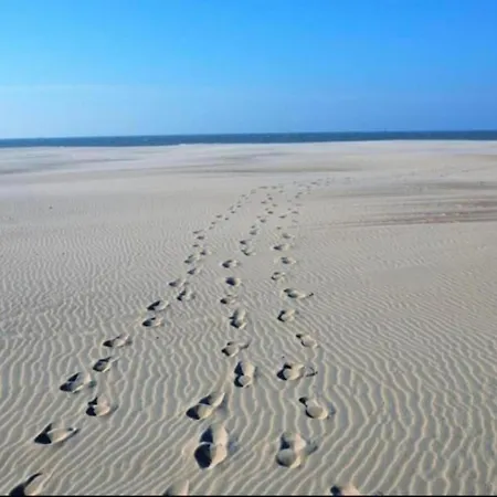 Beachfront Comfort شقة