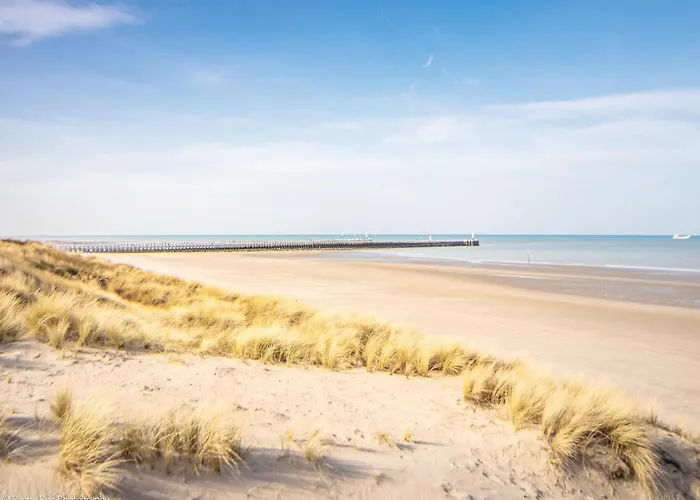 Beachfront Comfort *