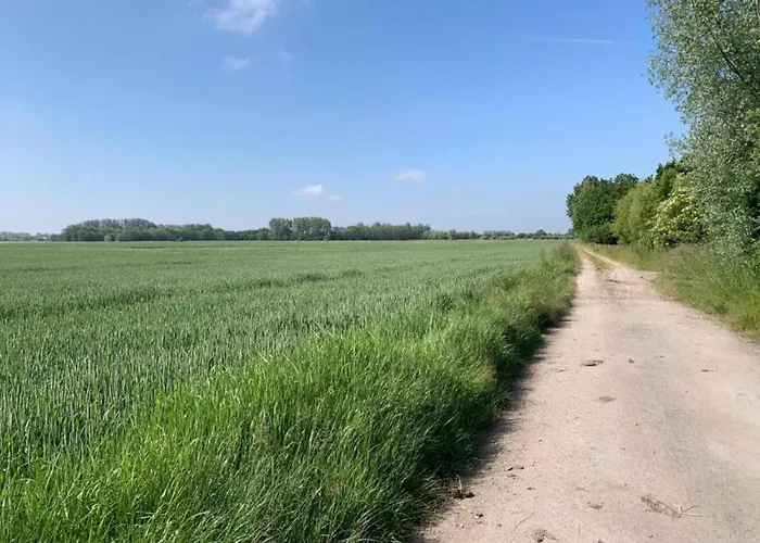 Apartment Beachfront Comfort *