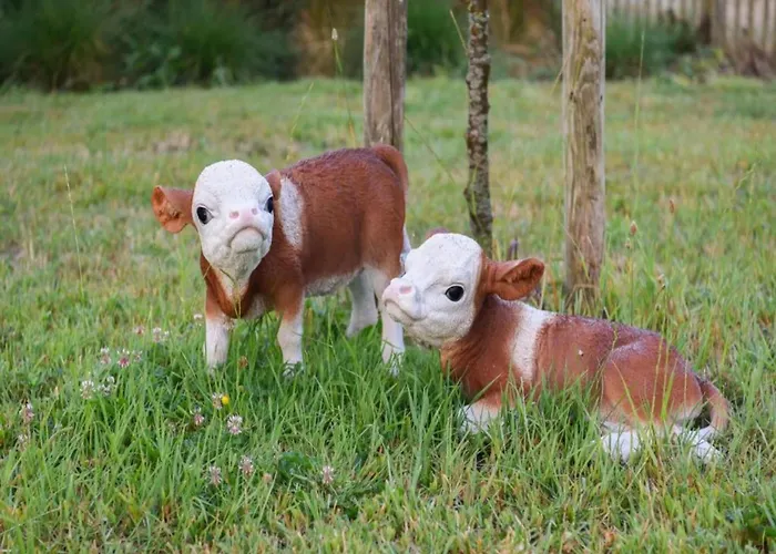 Apartment Beachfront Comfort Nieuwpoort