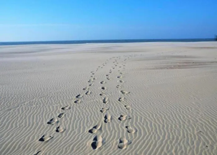 Beachfront Comfort Apartment