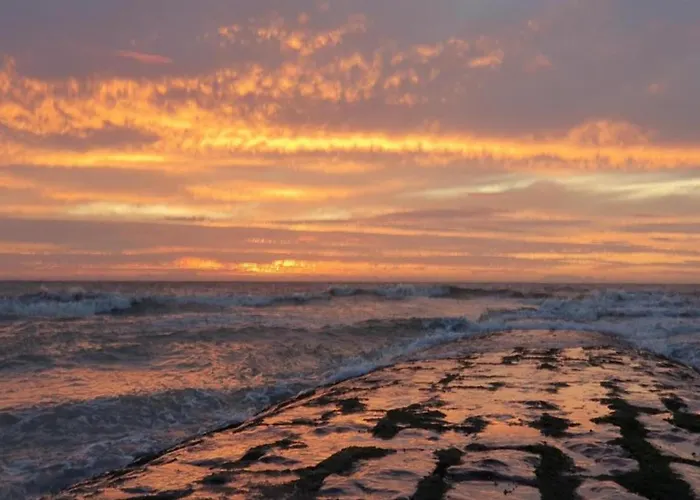 Apartment Beachfront Comfort